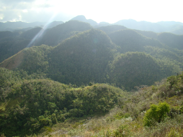DSC01610