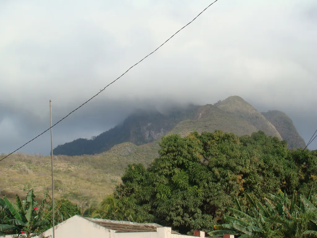 DSC06168