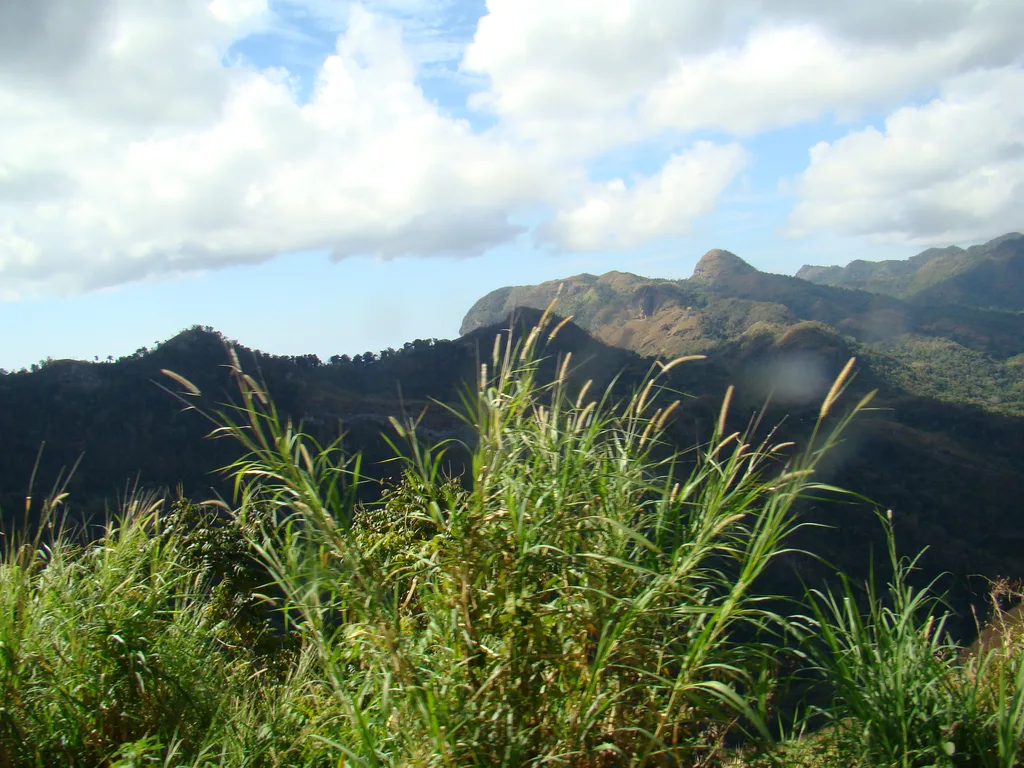 DSC06255