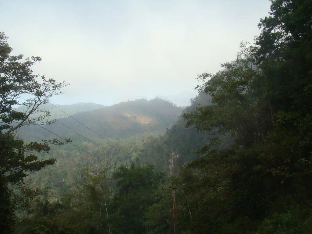 DSC06470